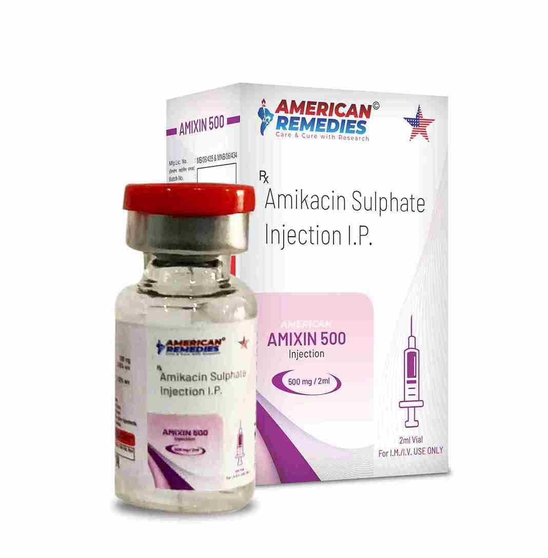 Amixin 500 Injection