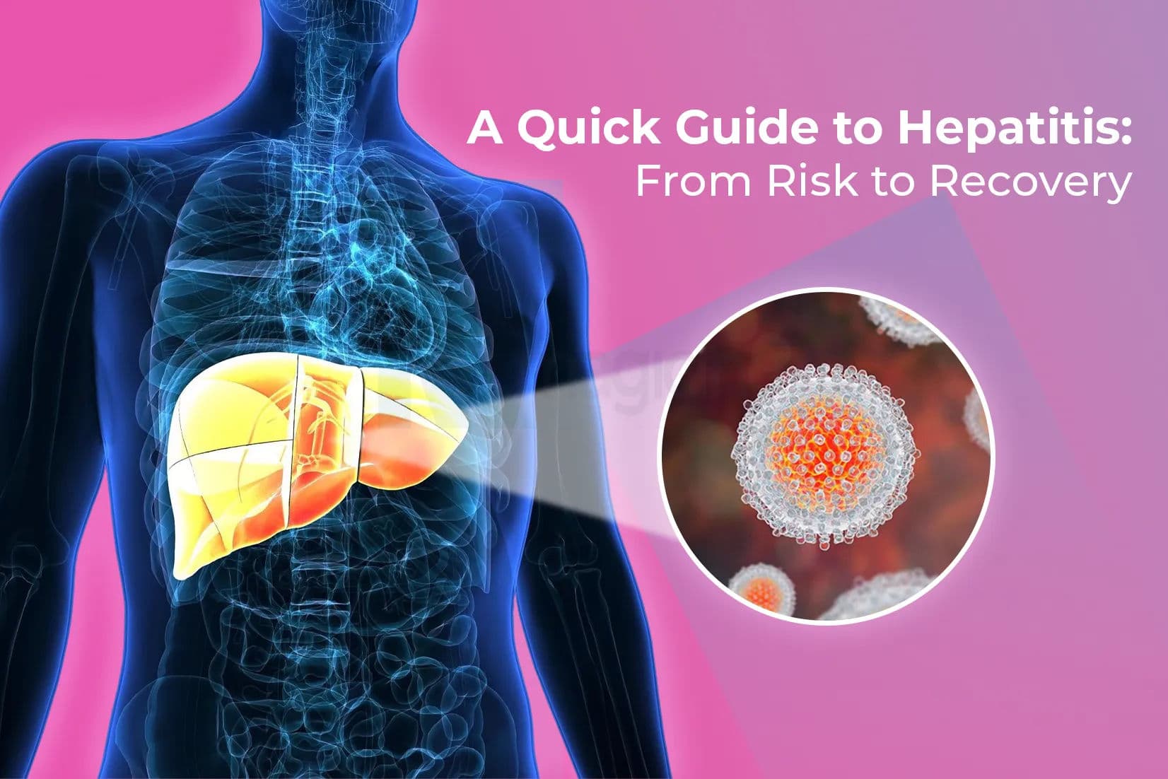 A Quick Guide to Hepatitis: From Risk to Recovery A Quick Guide to Hepatitis: From Risk to Recovery