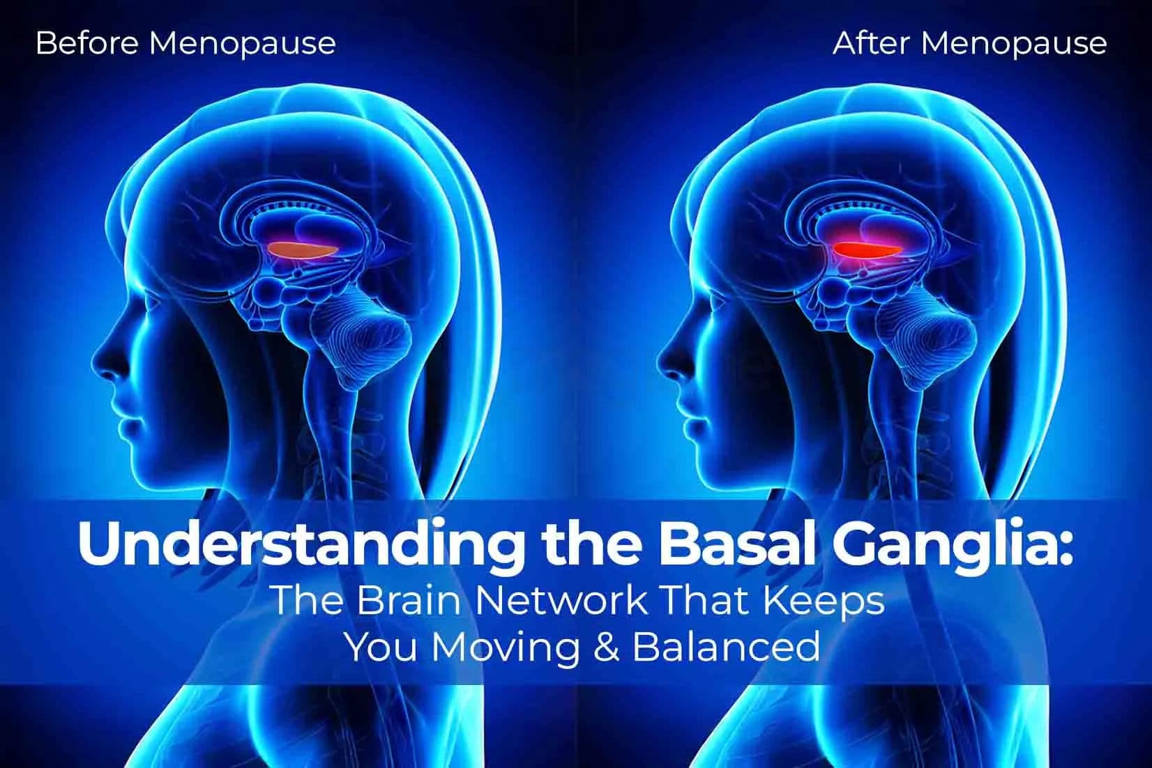 Understanding the Basal Ganglia: The Brain Network That Keeps You Moving & Balanced