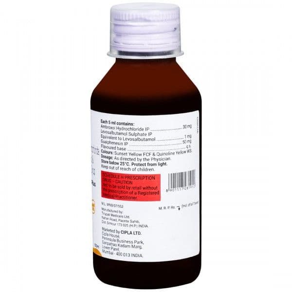 Levolin Plus Mango Flavour (Sugar Free) Syrup 100 ml