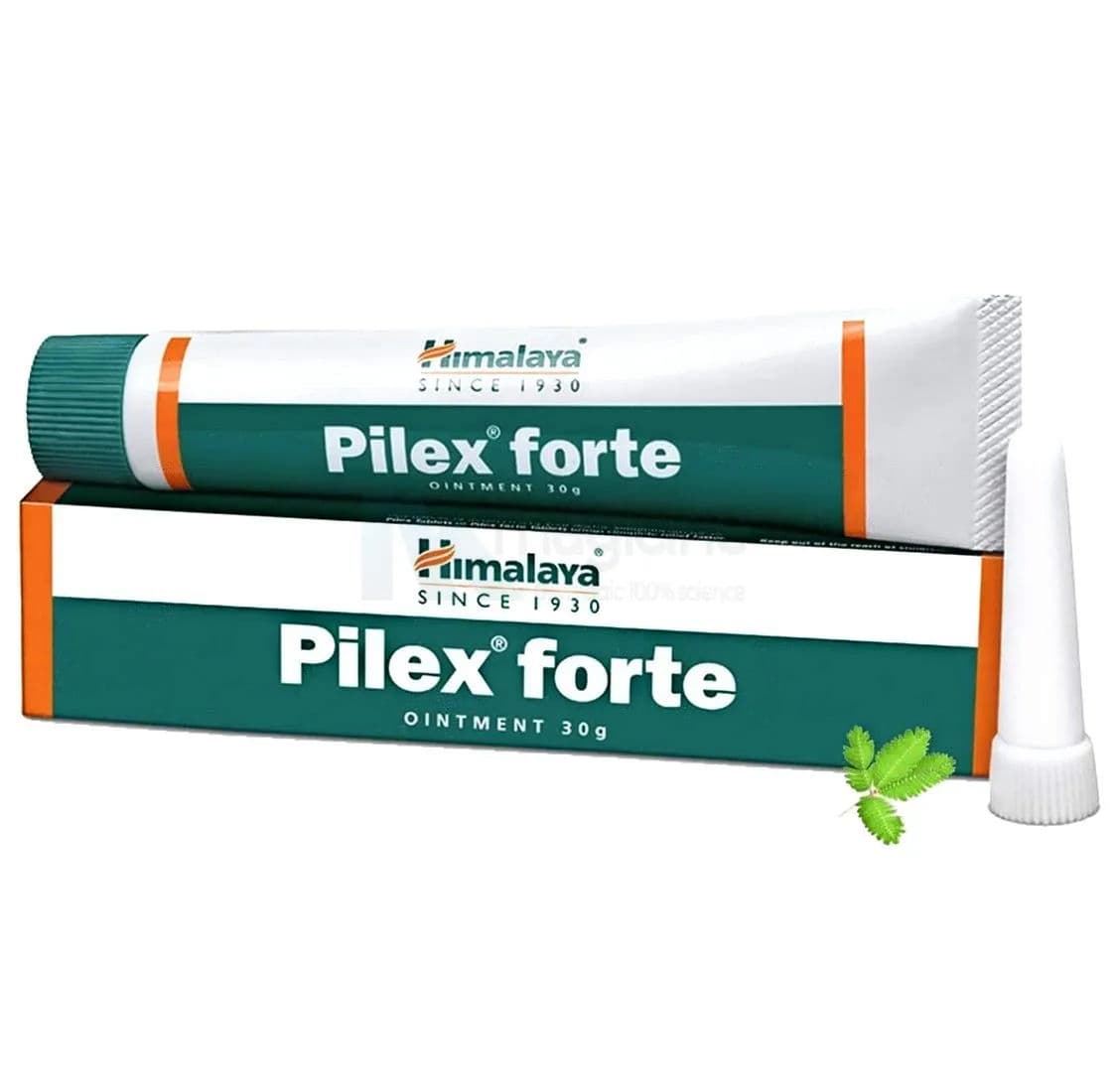 Himalaya Pilex Forte | Helps Ease Piles & Constipation Ointment