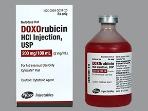  Doxorubicin 